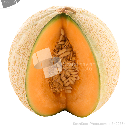 Image of Honeydew melon