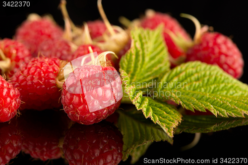 Image of Fresh raspberries