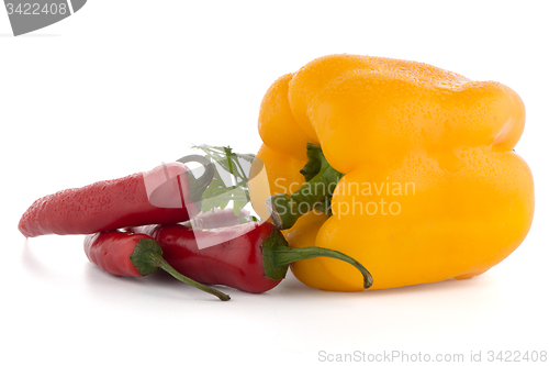 Image of Onion, chilli peppers and parsley
