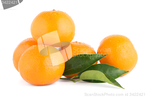 Image of Ripe tangerine or mandarin