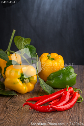Image of Colored bell peppers