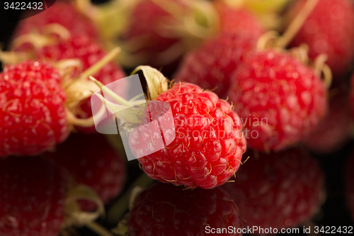 Image of Fresh raspberries