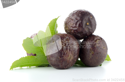 Image of Fresh passion fruit