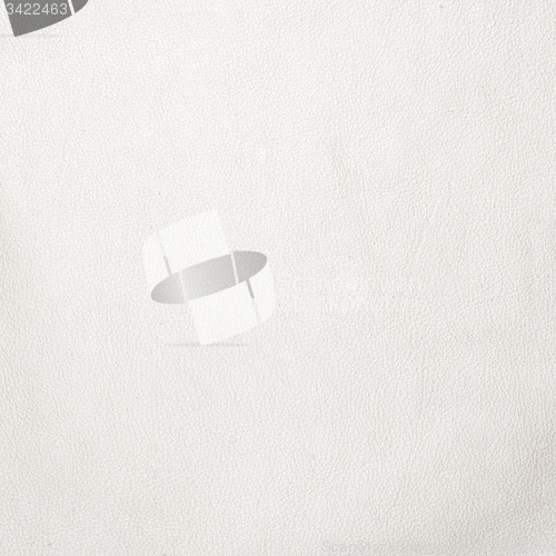 Image of White leather texture