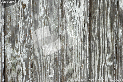 Image of Wood old wall background