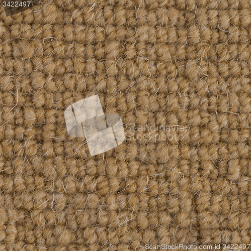 Image of Brown carpet