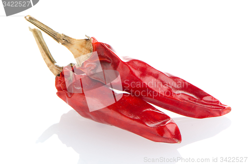 Image of Two red hot chili pepper