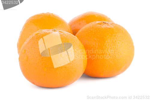 Image of Ripe tangerine or mandarin