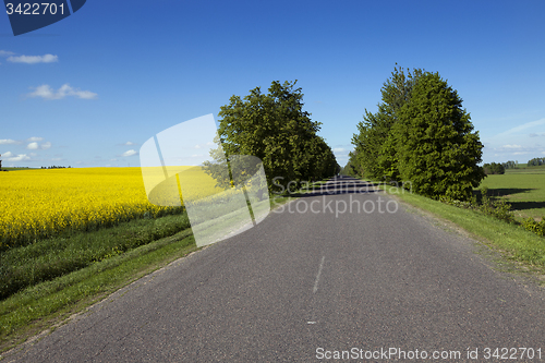 Image of the asphalted road 