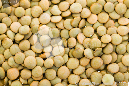 Image of   lentils  