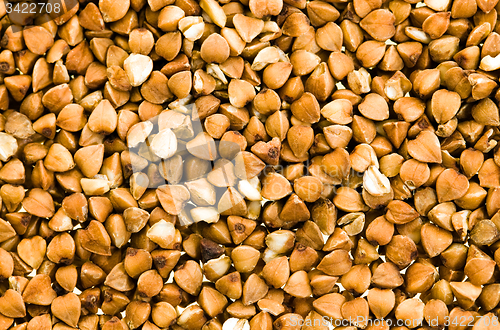 Image of buckwheat pile