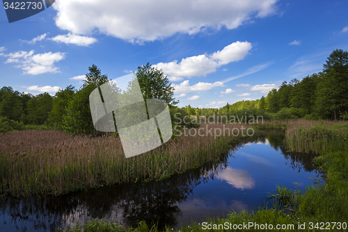 Image of the river in the summer  