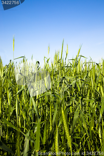 Image of agricultural field  