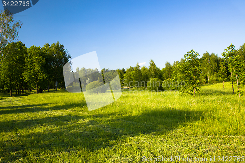 Image of   city park in spring