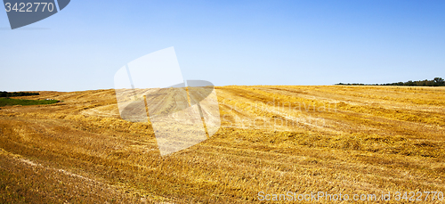 Image of agriculture  