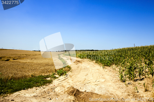 Image of the rural road  