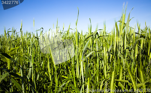 Image of agricultural field  