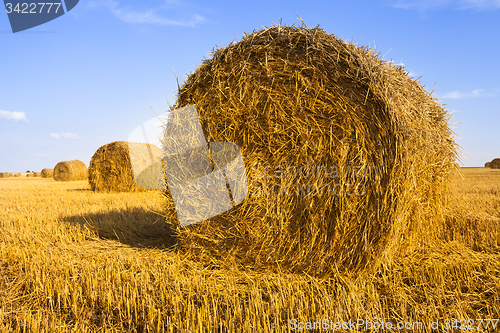 Image of straw stack  