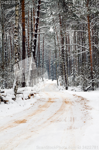 Image of Winter Road