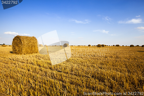 Image of straw stack 