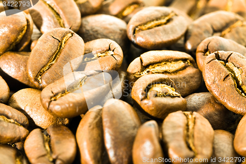 Image of grain coffee