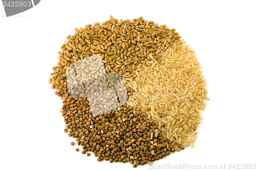 Image of  grain.  