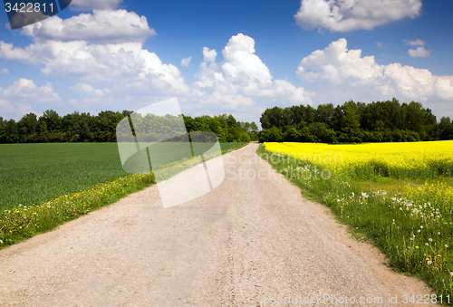 Image of country road