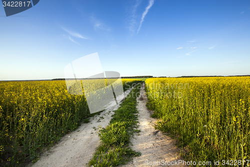 Image of the road to a field  