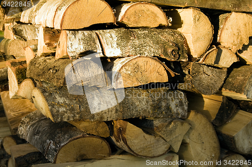 Image of   sawed trees