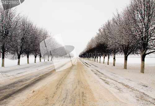 Image of Winter Road