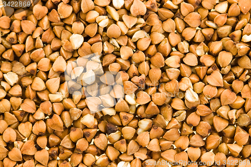 Image of buckwheat pile