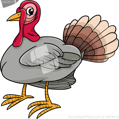 Image of turkey bird farm animal cartoon