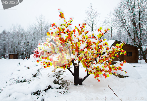 Image of  artificial tree. 