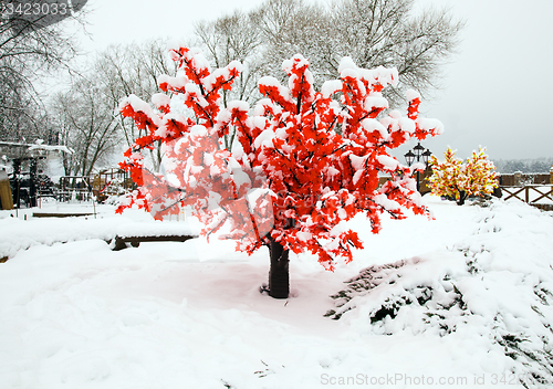 Image of  artificial tree. 