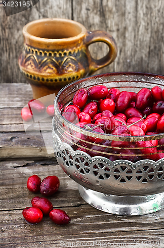 Image of Cornel berries with herbaceous medicinal shrub