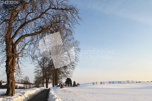 Image of Path in the snow in winter in Denmark
