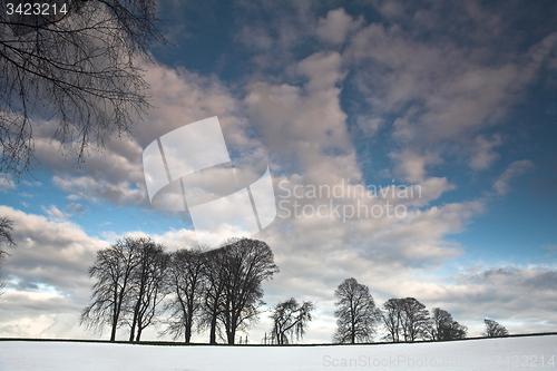 Image of Winter sceneries in Denmark with a field covered by snow