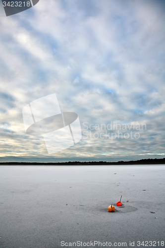 Image of Buoy on a lake in Denmark