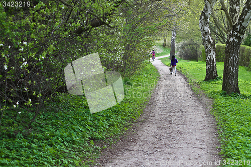 Image of Family on a path in spring in Denmark