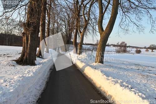 Image of Path in the snow in winter in Denmark