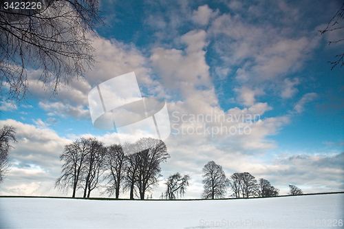 Image of Winter sceneries in Denmark with a field covered by snow