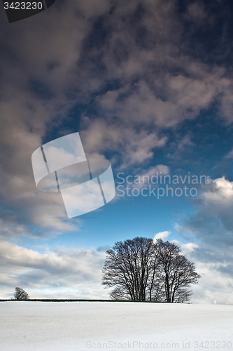 Image of Winter sceneries in Denmark with a field covered by snow