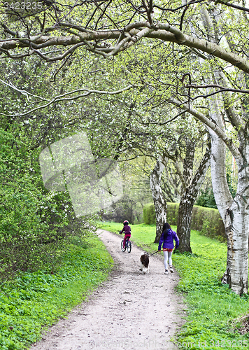 Image of Family on a path in spring 
