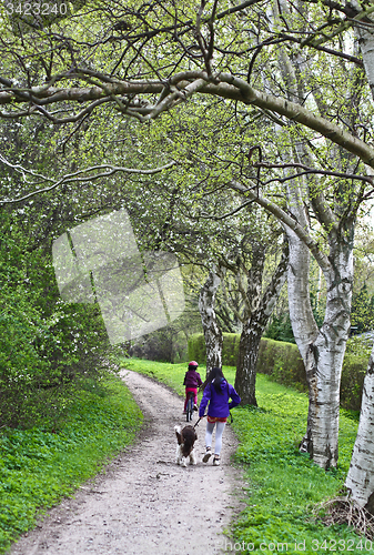 Image of Family on a path in spring 