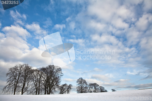 Image of Winter sceneries in Denmark with a field covered by snow