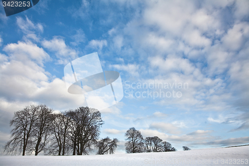 Image of Winter sceneries in Denmark with a field covered by snow