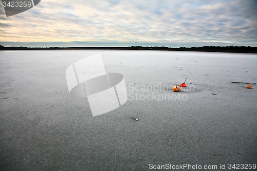 Image of Buoy on a lake in Denmark