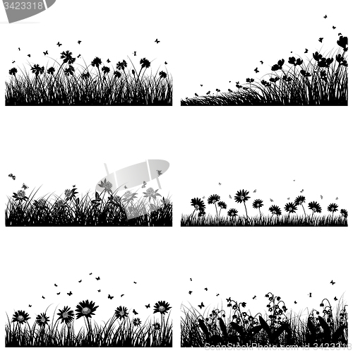 Image of 6 Meadow Backgrounds 