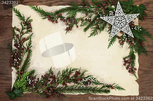 Image of Christmas Cedar Cypress Border
