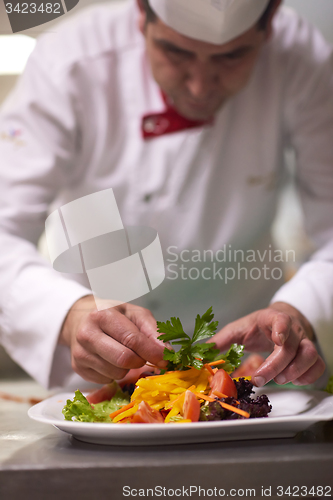 Image of chef in hotel kitchen preparing and decorating food